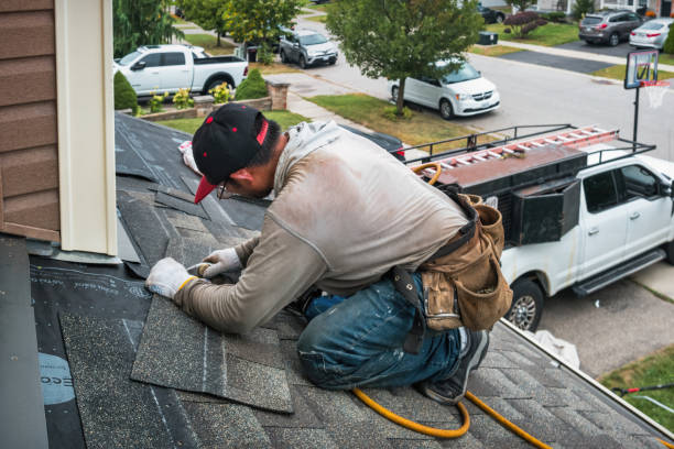 Professional Storm Damage Roof Repair technician working in Lexington, MN